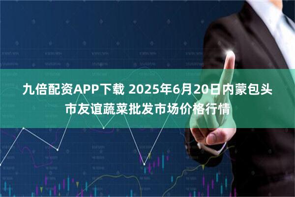九倍配资APP下载 2025年6月20日内蒙包头市友谊蔬菜批发市场价格行情