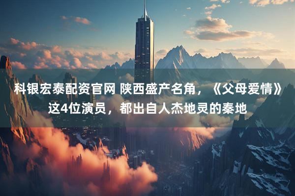科银宏泰配资官网 陕西盛产名角，《父母爱情》这4位演员，都出自人杰地灵的秦地