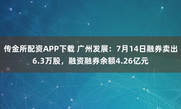 传金所配资APP下载 广州发展：7月14日融券卖出6.3万股，融资融券余额4.26亿元